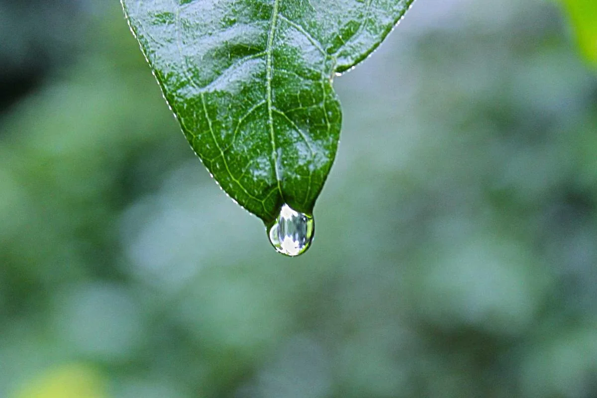 Estatísticas de Gols e Assistências do Neymar