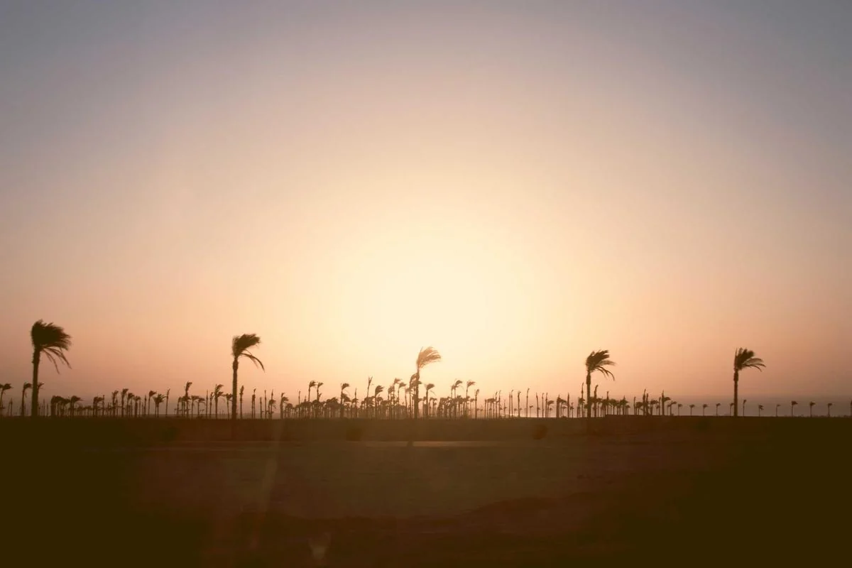 Palavraschave Neymar vs Lionel Messi quem é melhor Idioma utilizado Português brasileiro autêntico illustration and guide